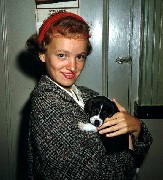 Jean Wilson